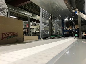Автоматизированная конвейерная линия инспекции и упаковки вафель, Набережные Челны