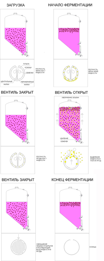 Система EUREKA - новый способ в производстве вина